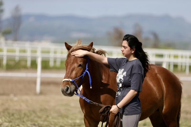 Bursa'da üniversite öğrencileri atları "oyunlarla" eğitiyor