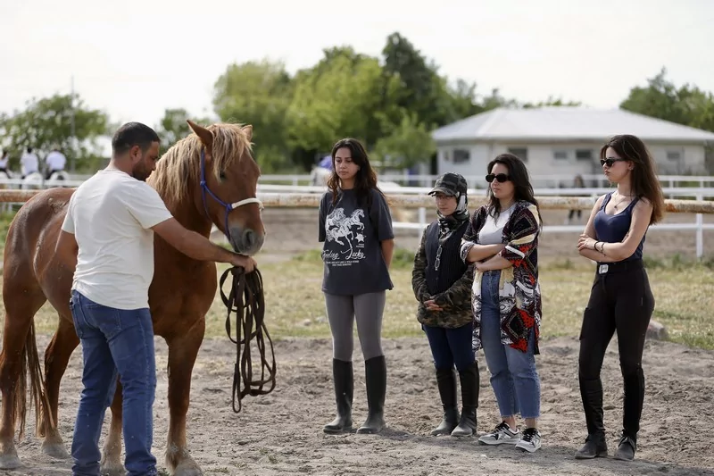 Bursa'da üniversite öğrencileri atları "oyunlarla" eğitiyor