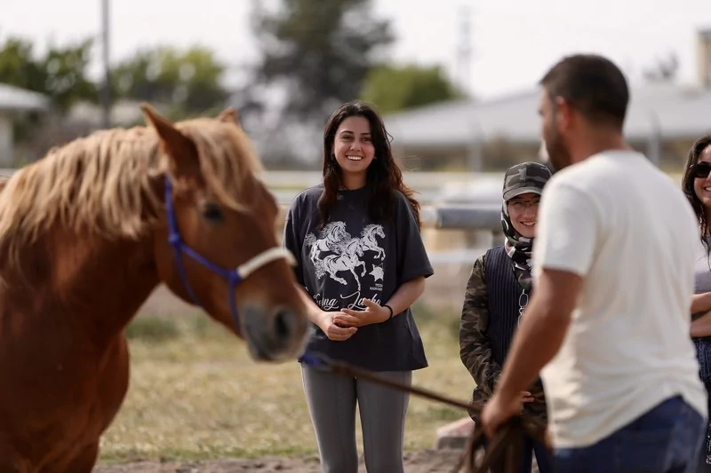 Bursa'da üniversite öğrencileri atları "oyunlarla" eğitiyor