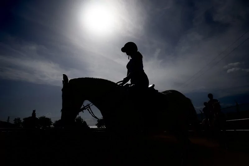 Bursa'da üniversite öğrencileri atları "oyunlarla" eğitiyor