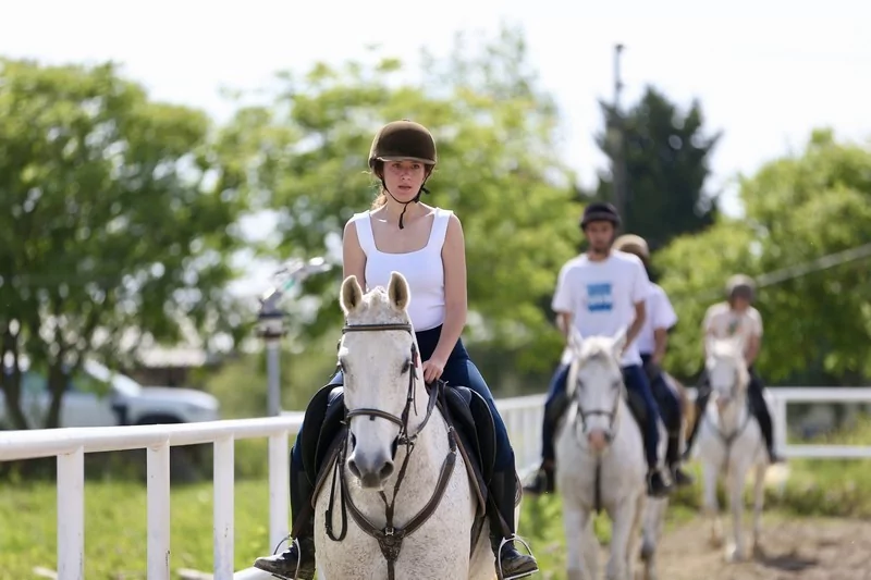 Bursa'da üniversite öğrencileri atları "oyunlarla" eğitiyor