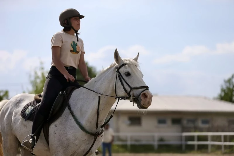 Bursa'da üniversite öğrencileri atları "oyunlarla" eğitiyor
