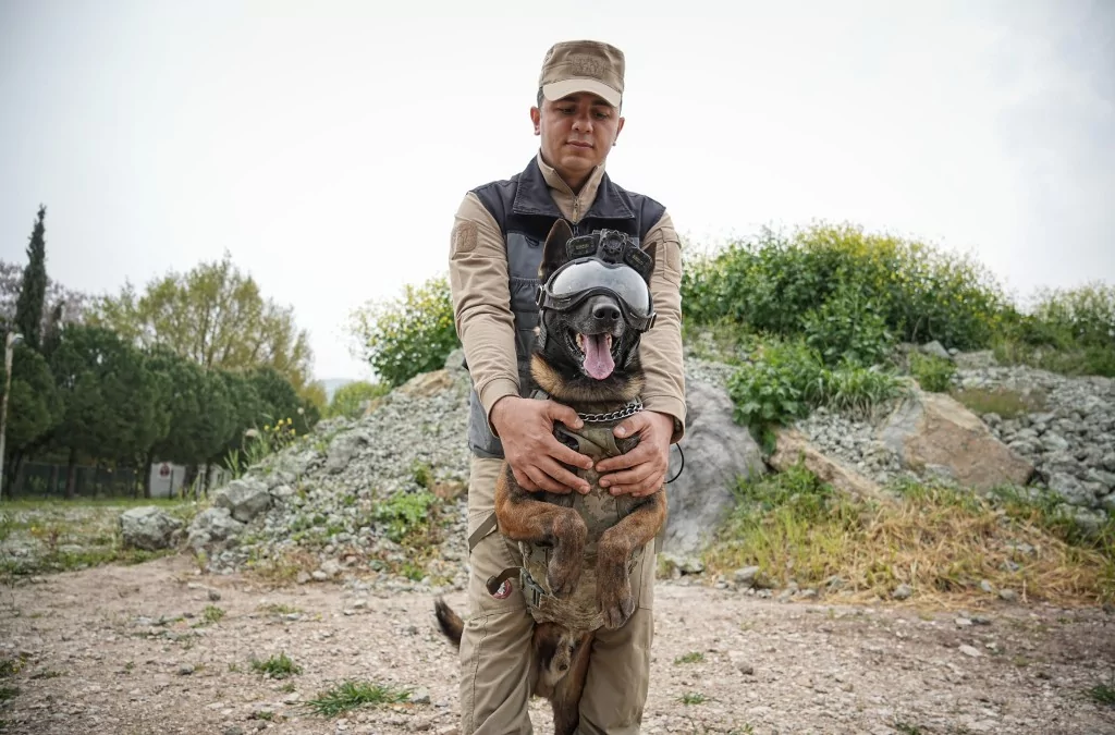 Vatan savunması Bursa'da yetişen can dostlara emanet