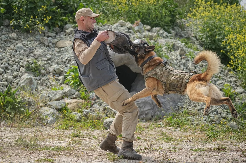 Vatan savunması Bursa'da yetişen can dostlara emanet
