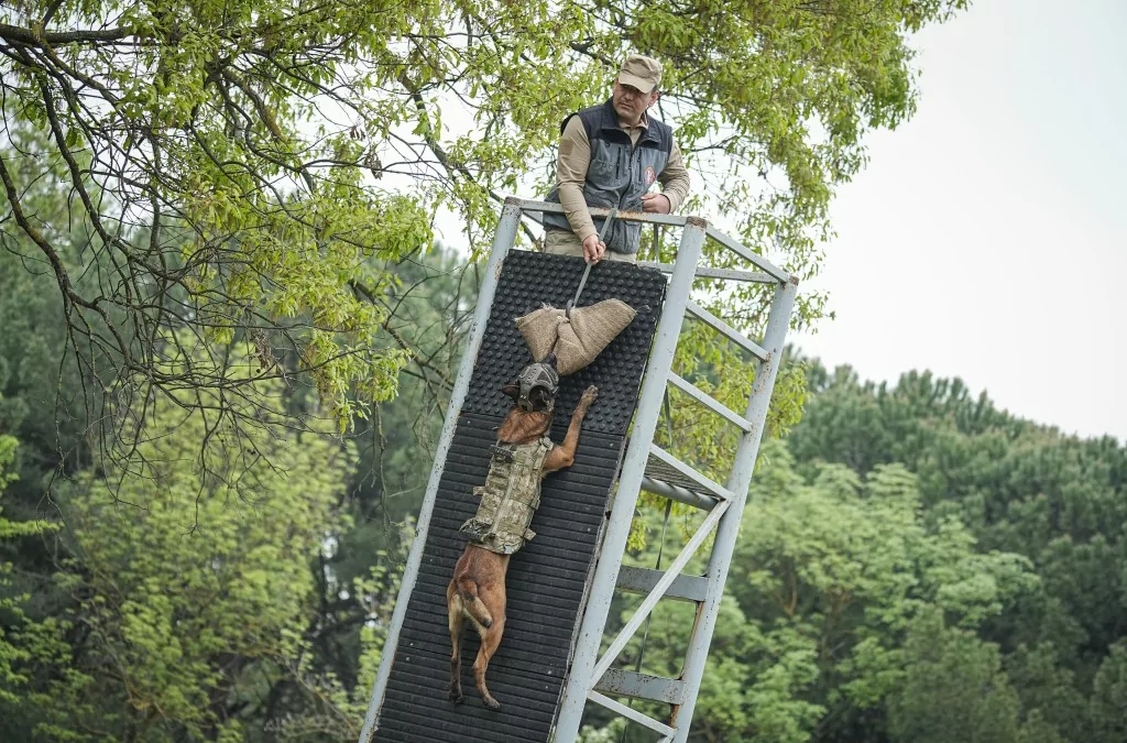 Vatan savunması Bursa'da yetişen can dostlara emanet