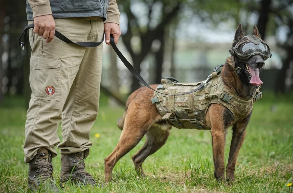 Vatan savunması Bursa'da yetişen can dostlara emanet
