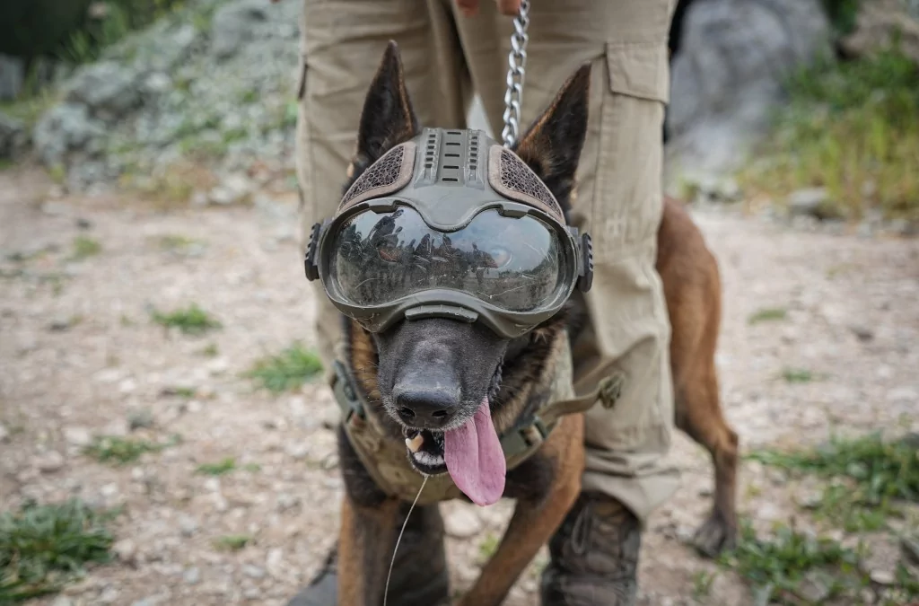 Vatan savunması Bursa'da yetişen can dostlara emanet