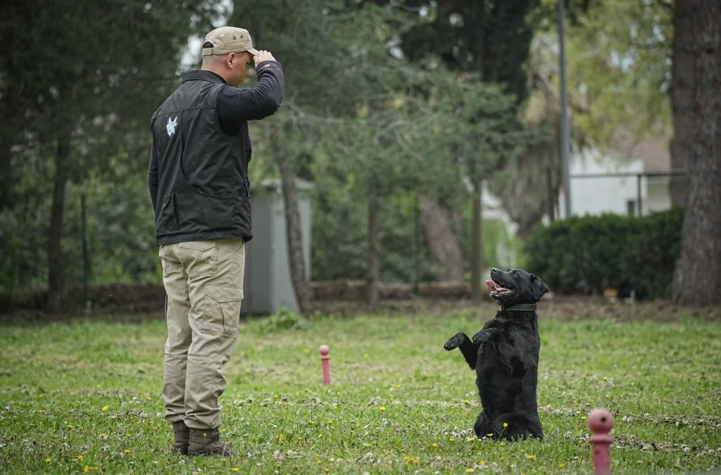 Vatan savunması Bursa'da yetişen can dostlara emanet