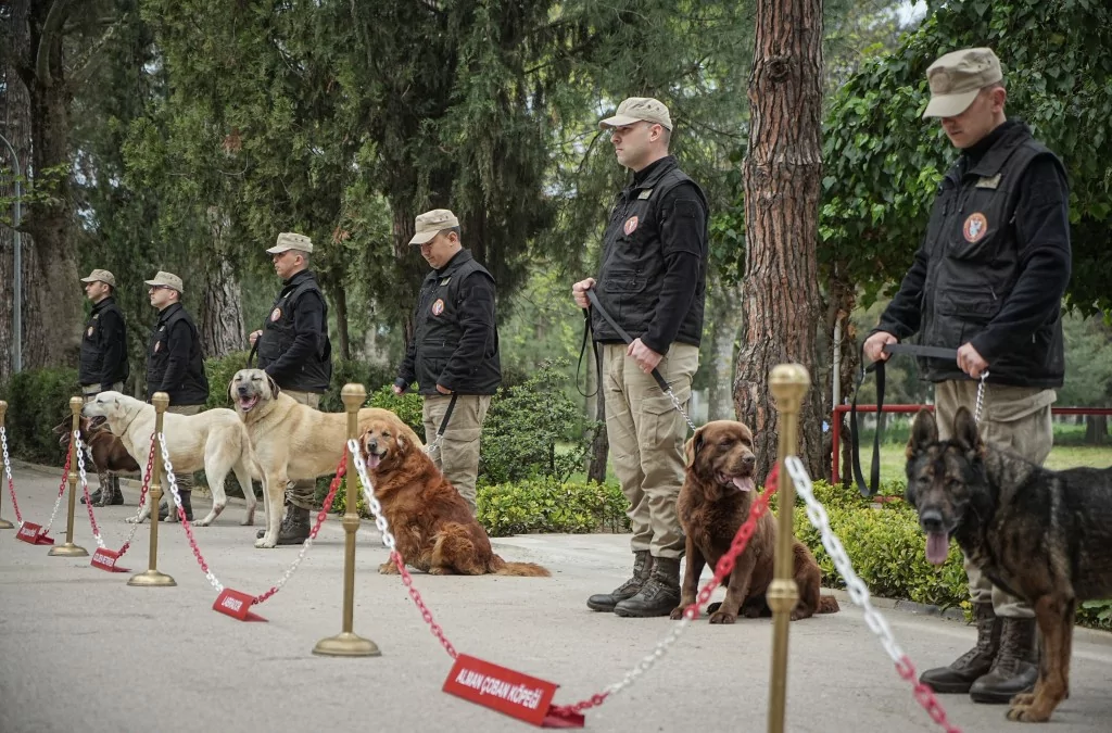 Vatan savunması Bursa'da yetişen can dostlara emanet