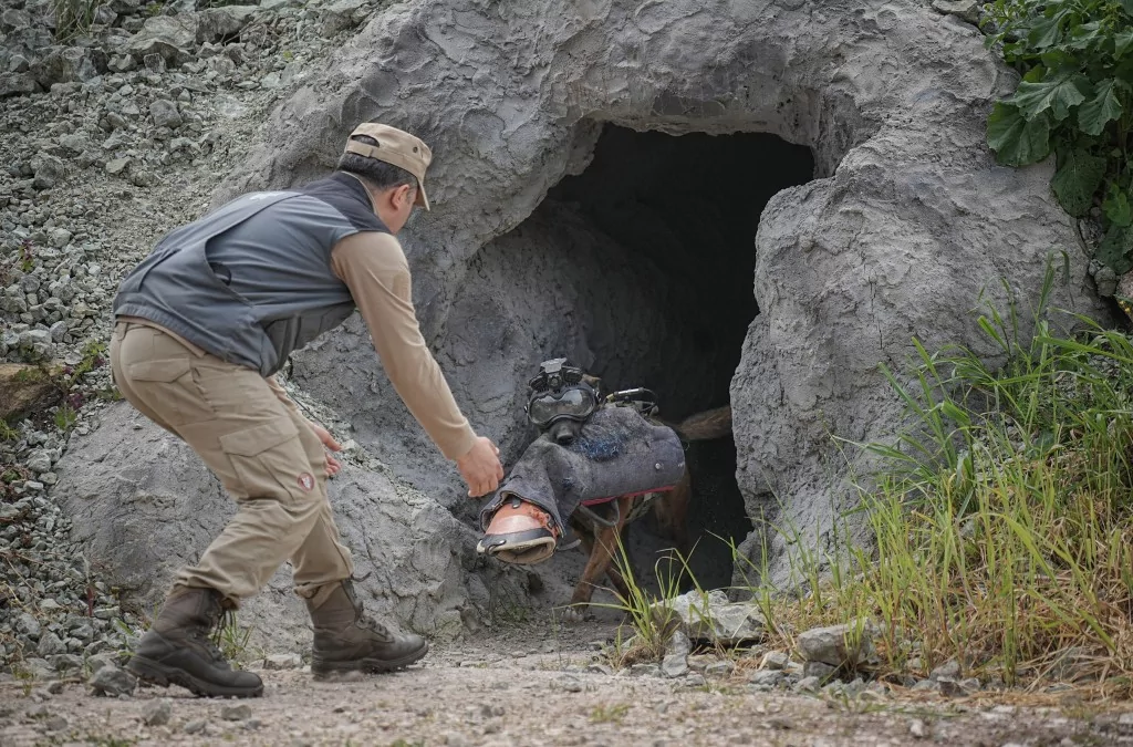 Vatan savunması Bursa'da yetişen can dostlara emanet