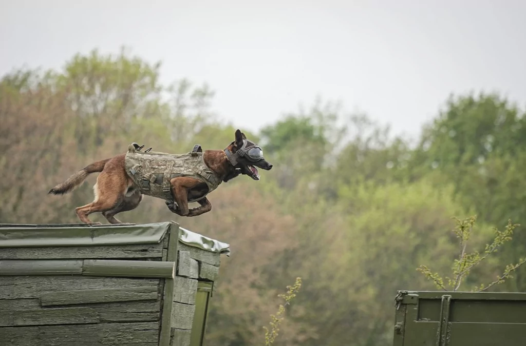 Vatan savunması Bursa'da yetişen can dostlara emanet