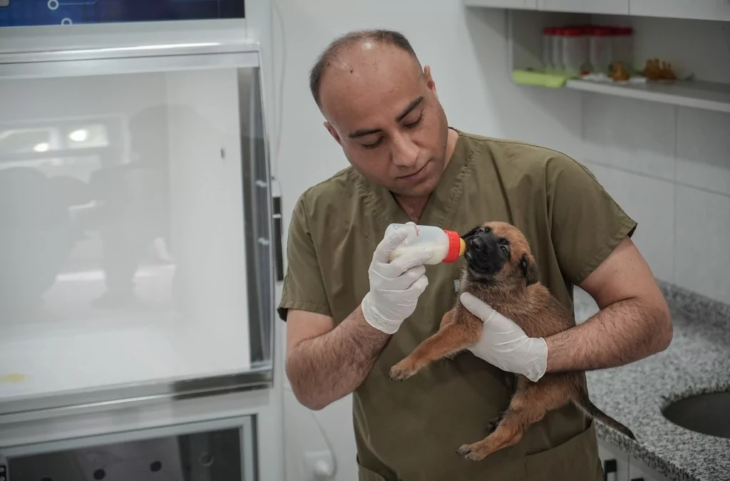 Vatan savunması Bursa'da yetişen can dostlara emanet