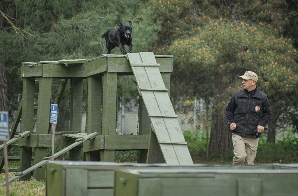 Vatan savunması Bursa'da yetişen can dostlara emanet
