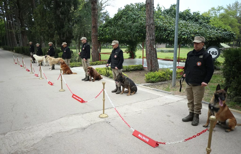 Vatan savunması Bursa'da yetişen can dostlara emanet