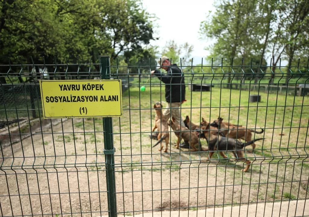 Vatan savunması Bursa'da yetişen can dostlara emanet