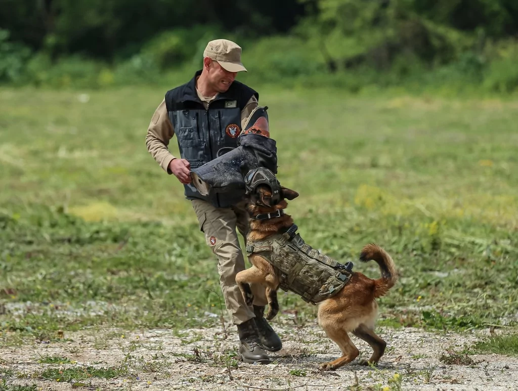 Vatan savunması Bursa'da yetişen can dostlara emanet