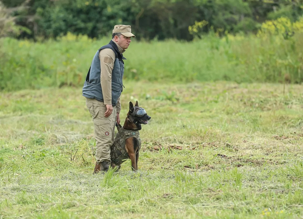 Vatan savunması Bursa'da yetişen can dostlara emanet