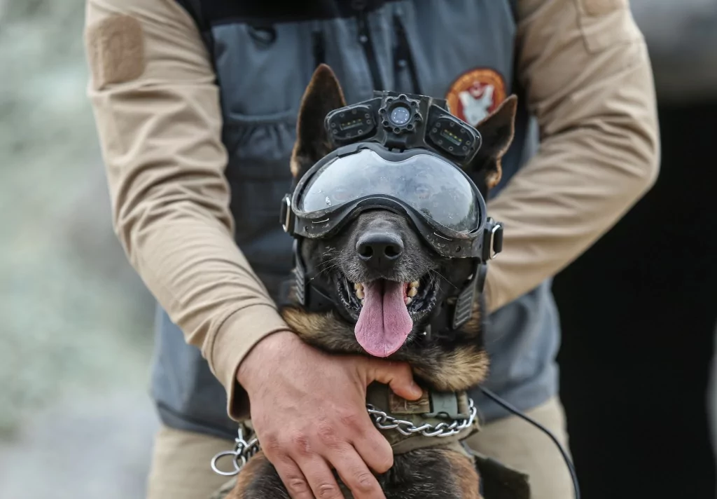 Vatan savunması Bursa'da yetişen can dostlara emanet
