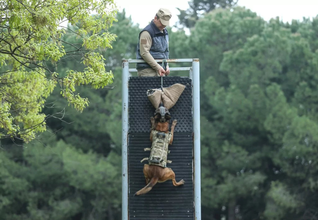 Vatan savunması Bursa'da yetişen can dostlara emanet
