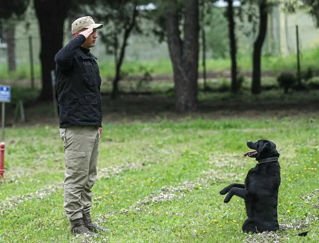 Vatan savunması Bursa'da yetişen can dostlara emanet