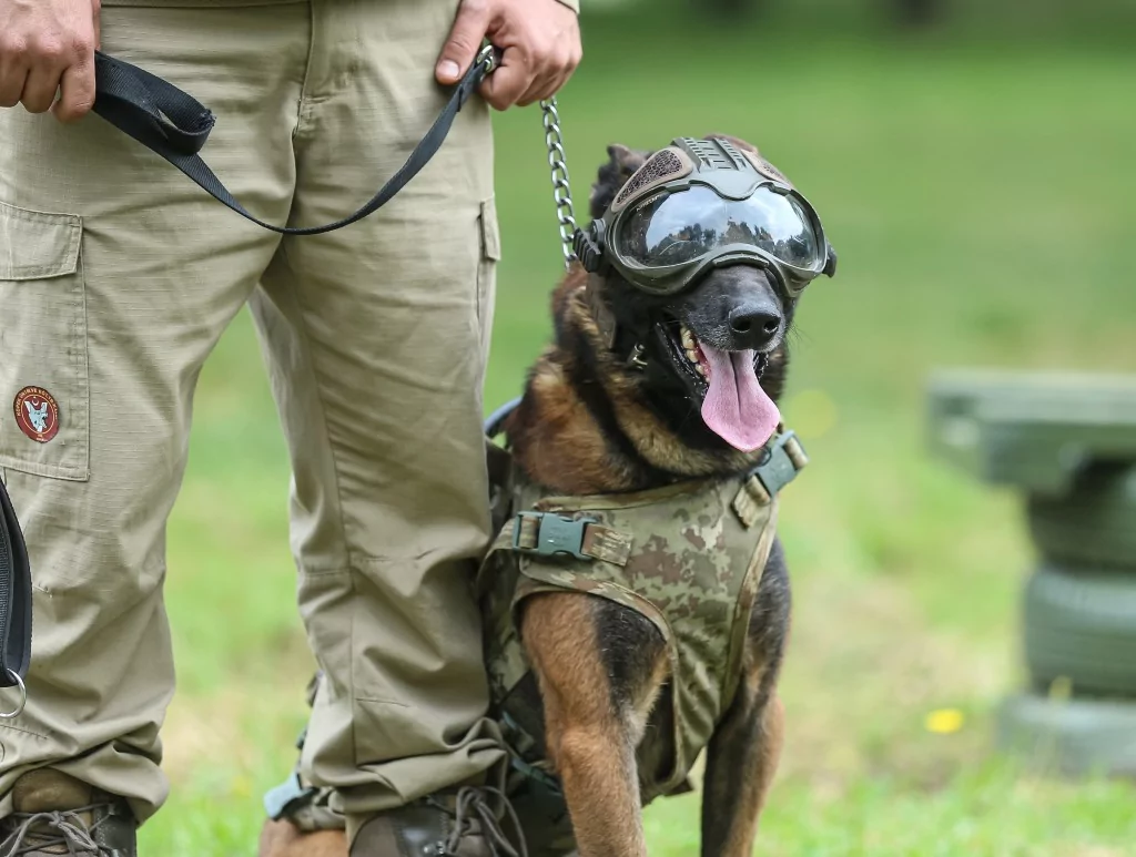 Vatan savunması Bursa'da yetişen can dostlara emanet