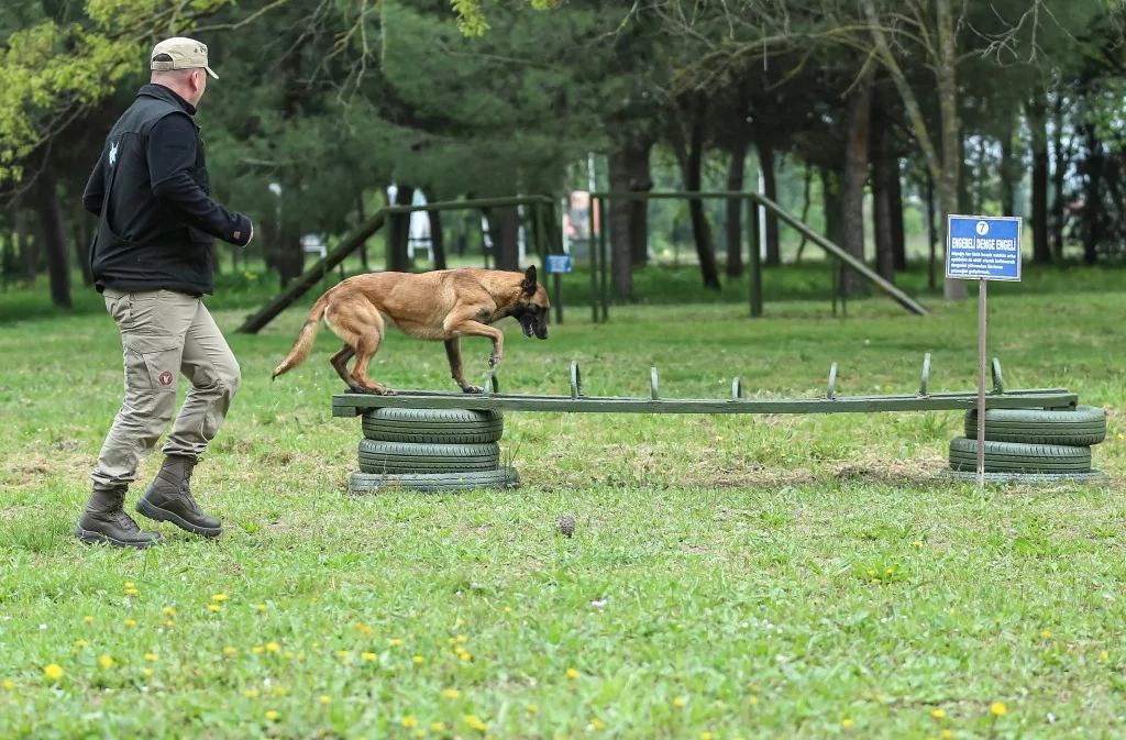 Vatan savunması Bursa'da yetişen can dostlara emanet