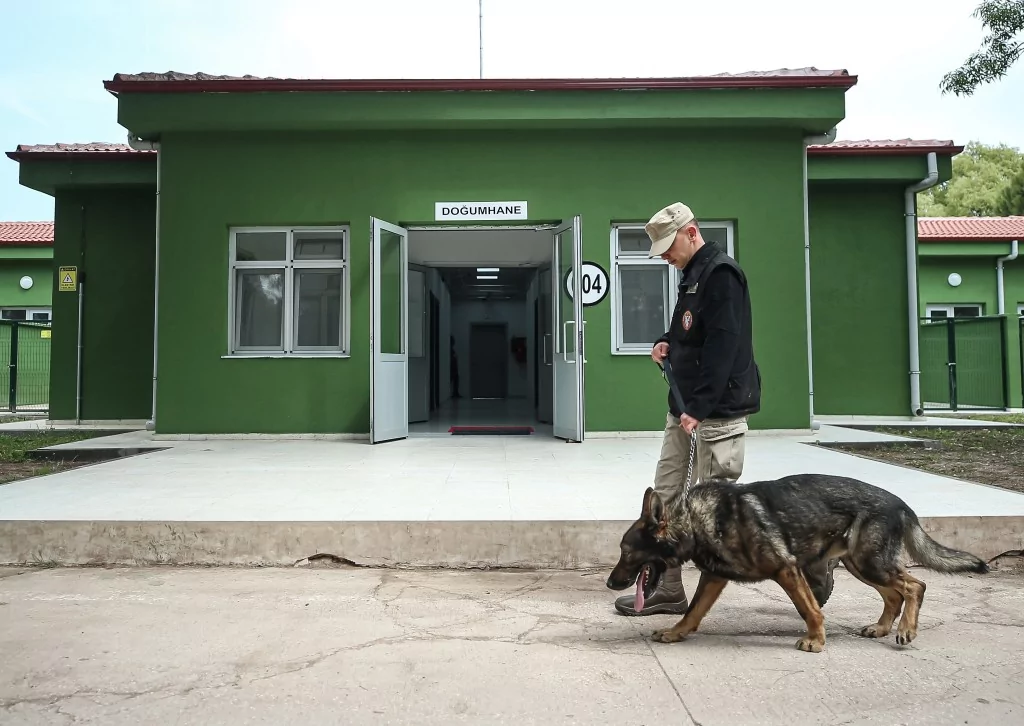 Vatan savunması Bursa'da yetişen can dostlara emanet