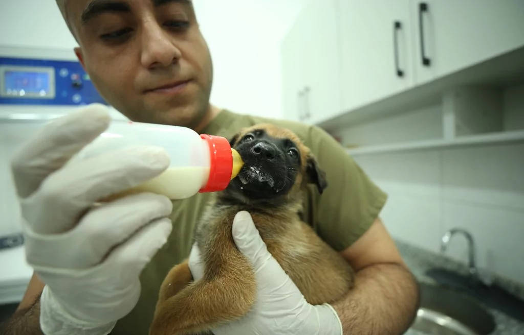 Vatan savunması Bursa'da yetişen can dostlara emanet