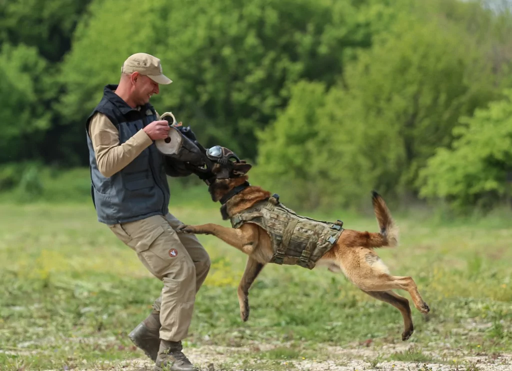 Vatan savunması Bursa'da yetişen can dostlara emanet