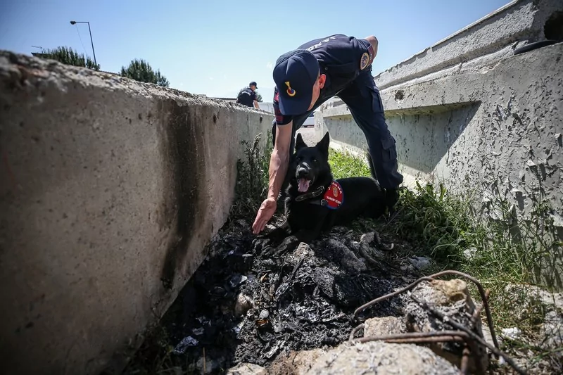 Bursa'nın yangın tespit köpeği Bronz, "şüpheli yangınların" aydınlatılmasına katkı sağlıyor