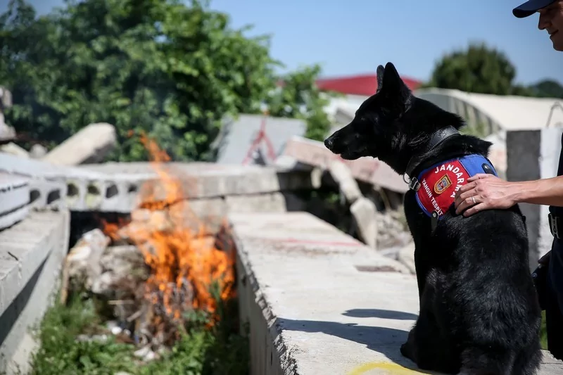 Bursa'nın yangın tespit köpeği Bronz, "şüpheli yangınların" aydınlatılmasına katkı sağlıyor