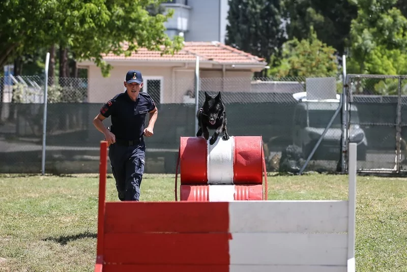 Bursa'nın yangın tespit köpeği Bronz, "şüpheli yangınların" aydınlatılmasına katkı sağlıyor
