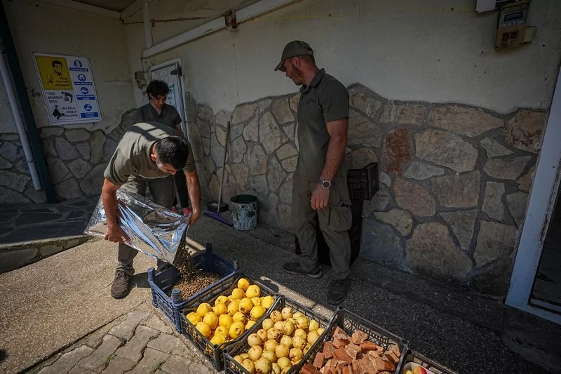Bursa Karacabey ayı barınağının sakinleri sıcak havalarda özel gıdalarla besleniyor