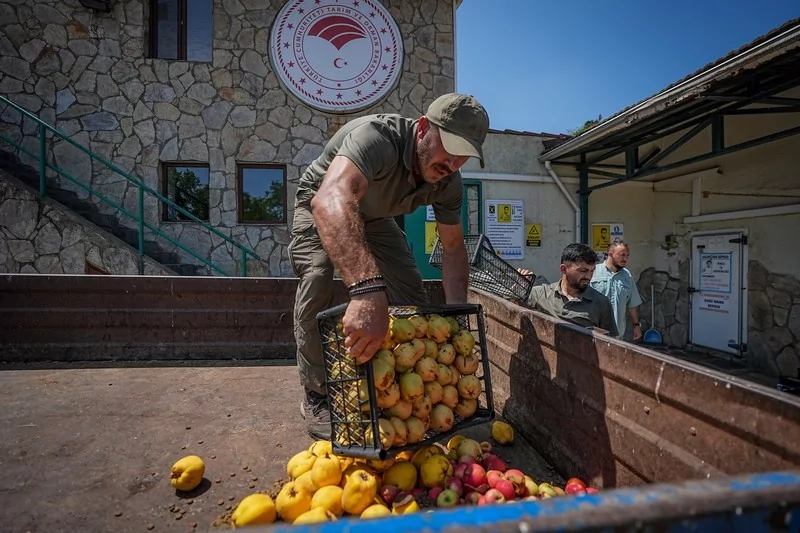 Bursa Karacabey ayı barınağının sakinleri sıcak havalarda özel gıdalarla besleniyor