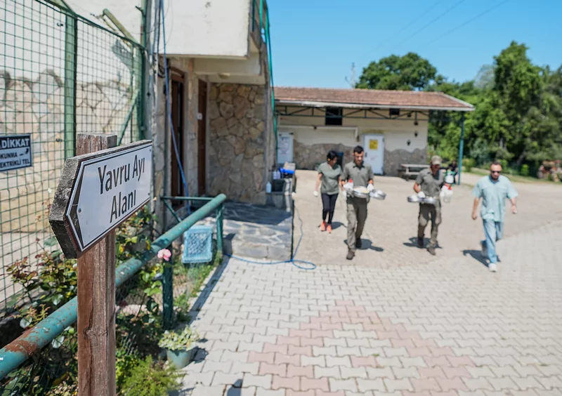 Bursa ayı barınağının minik sakinleri özenle büyütülüyor