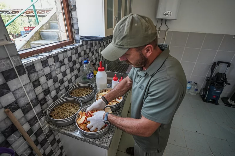 Bursa ayı barınağının minik sakinleri özenle büyütülüyor