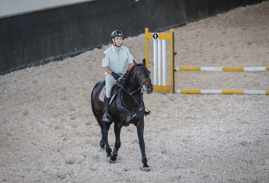 TSK'nın binek ve tören atları Gemlik'te özenle yetiştiriliyor