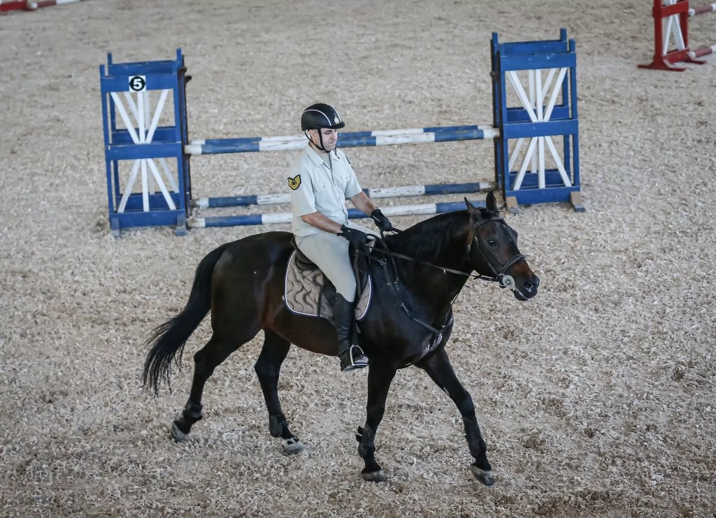 TSK'nın binek ve tören atları Gemlik'te özenle yetiştiriliyor