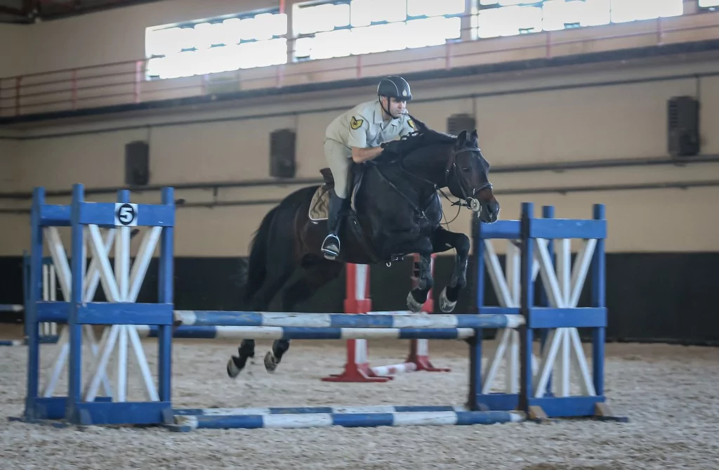 TSK'nın binek ve tören atları Gemlik'te özenle yetiştiriliyor