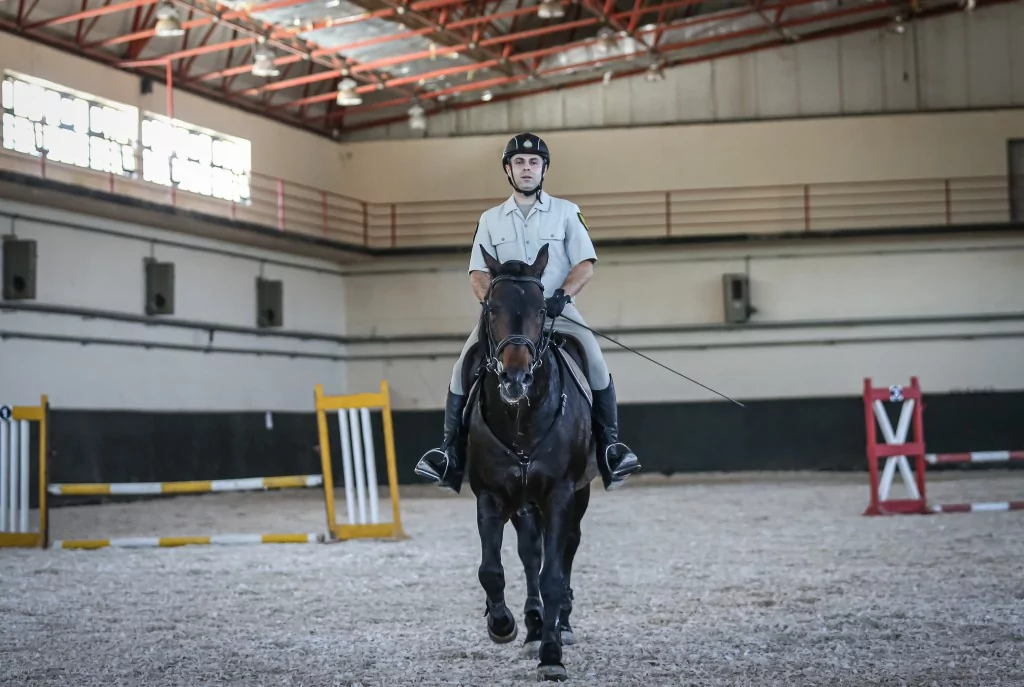 TSK'nın binek ve tören atları Gemlik'te özenle yetiştiriliyor