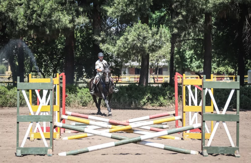 TSK'nın binek ve tören atları Gemlik'te özenle yetiştiriliyor