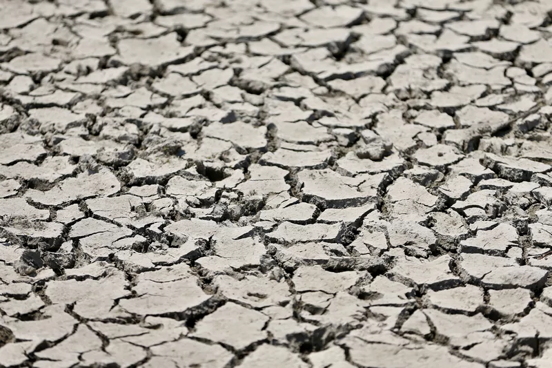 Bursa'da 43 yıldır arazileri sulayan gölet can çekişiyor