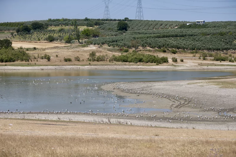 Bursa'da 43 yıldır arazileri sulayan gölet can çekişiyor
