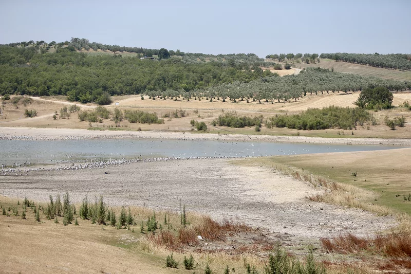 Bursa'da 43 yıldır arazileri sulayan gölet can çekişiyor