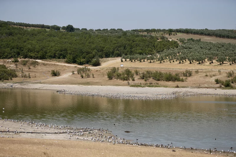 Bursa'da 43 yıldır arazileri sulayan gölet can çekişiyor