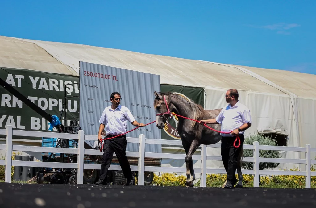 TİGEM'e 51 tayın satışından dev gelir!