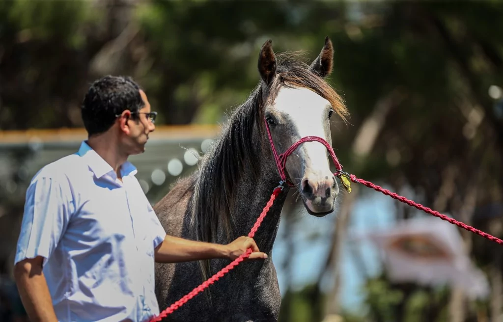 TİGEM'e 51 tayın satışından dev gelir!