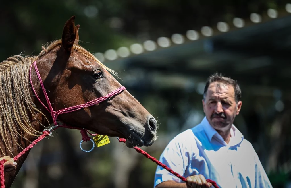 TİGEM'e 51 tayın satışından dev gelir!