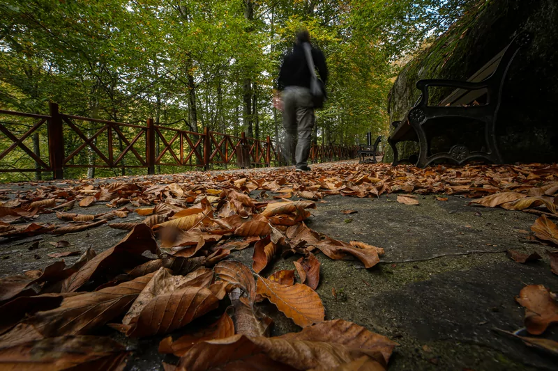Bursa'nın gözdesi Suuçtu Şelalesi, sonbahar renkleriyle hayran bırakıyor