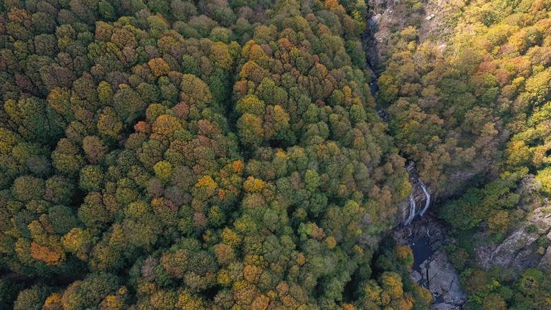 Bursa'nın gözdesi Suuçtu Şelalesi, sonbahar renkleriyle hayran bırakıyor